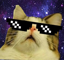jumpcat